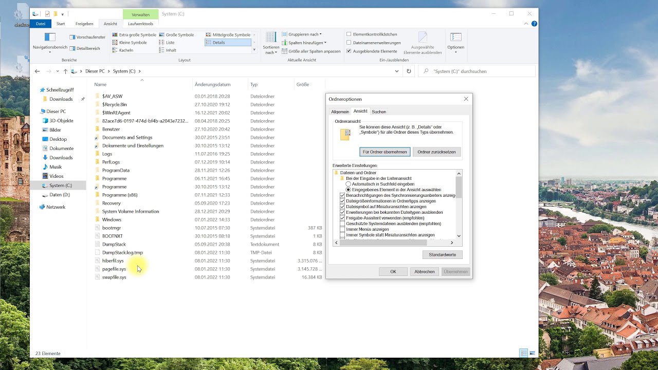 Ausgeblendete Ordner und Dateien anzeigen – Windows-Tutorial
